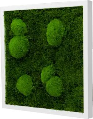 Moos-Design Bilderrahmen Moos Bild Forest Design