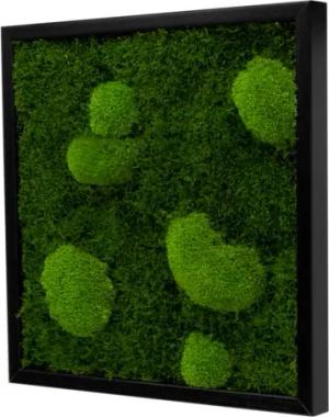 Moos-Design Bilderrahmen Moos Bild Forest Design