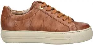 Paul Green Sneaker Sneaker