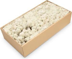 NaDeco Bastelnaturmaterial Islandmoos Natur 500g
