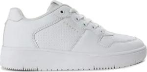 Cruyff Sneaker Indoor Royal