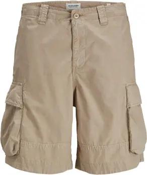 Jack & Jones Shorts -