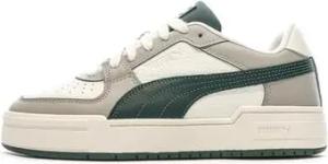 Puma  Sneaker 380190-65