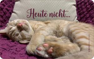 Frühstücksbrett Katze - Frühstücksbrettchen - heute
