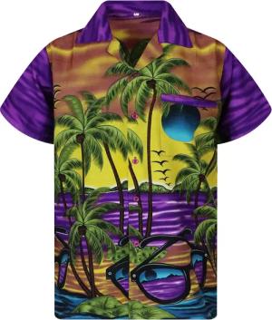 King Kameha Hawaiihemd Sunglasses Funky Hawaii-Hemd