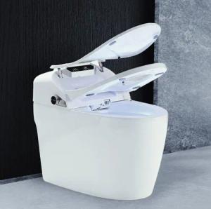 DEKO VERTRIEB BAYERN Dusch-WC Luxus LED