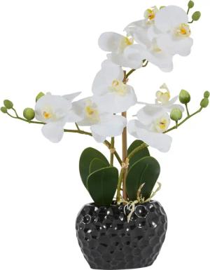 Leonique Kunstpflanze "Orchidee", Kunstorchidee, im Topf, Bestseller, über 2500 4,5-Sterne-Bewertungen