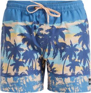 Quiksilver Boardshorts "Everyday Straight 15""