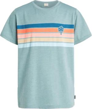 Protest - Ole Jr T-Shirt Jungen arcticgreen