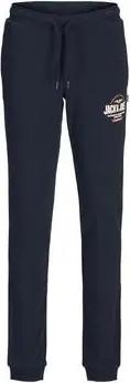 Jack & Jones Trainingsanzüge 12258850-NBZ