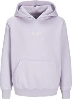 Jack & Jones Kinder-Sweatshirt 12256770