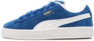 Puma  Kinderschuhe 396578-01