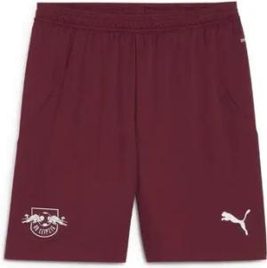 Puma  Shorts 776470-02