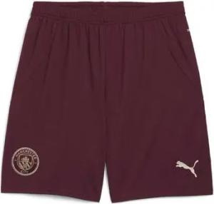 Puma  Shorts 775114-03