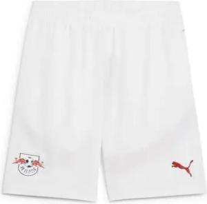 Puma Shorts 776470-01