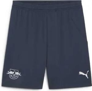Puma Shorts 776470-03