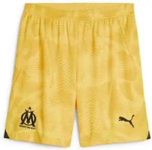 Puma Shorts 775310-99