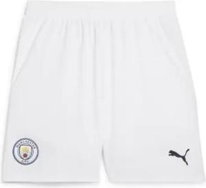 Puma Shorts 775114-05