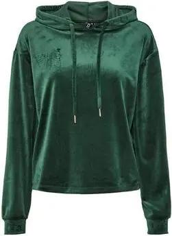 Pieces Sweatshirt 17154433-TGT