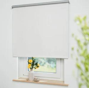Springrollo Thermo-Rollo, Liedeco, verdunkelnd, freihängend, verschraubt,
