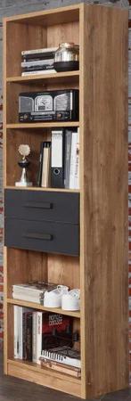 Wimex Standregal Liverpool, Ordnungshelfer mit 2