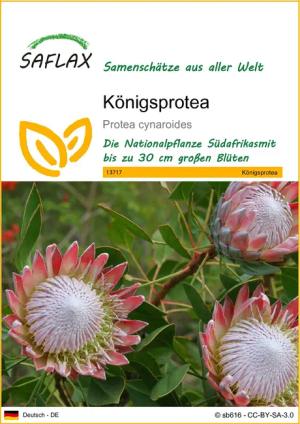 SAFLAX Blumensamen SAFLAX - Samen -