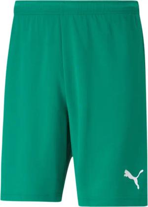 PUMA Trainingsshorts Puma Kinder Shorts teamRISE