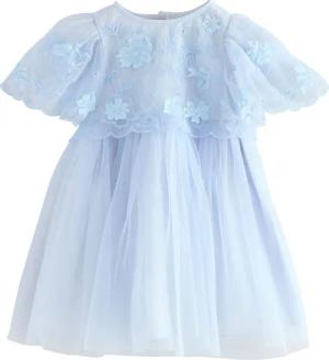 Next Tüllkleid Besticktes Kleid aus Netzstoff