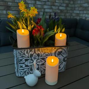 Online-Fuchs LED-Kerze Kerzen Set in Creme,