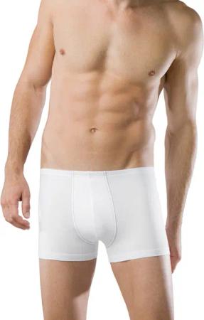Schiesser Trunk Essentials