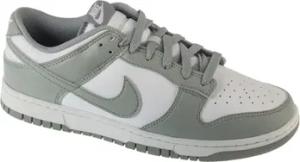 Nike Sneaker Dunk Low Retro
