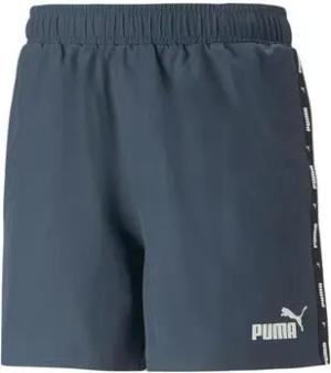Puma Shorts 849043-16