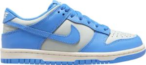 Nike Dunk Low Kids Silber