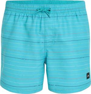 O'Neill - Jack O'Neill Cali First 15'' Badehose Herren blue first name stripe