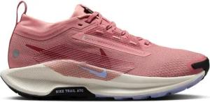 Trailrunning-Schuhe für Damen Nike Pegasus Trail 5 Gore-Tex