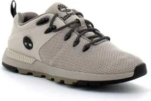 Timberland Sneaker -