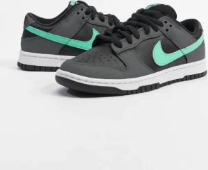 Nike Dunk Low Retro Sneaker
