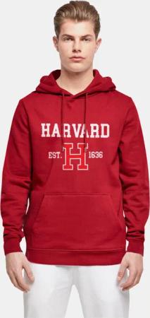 Merchcode Harvard University - Est 1636 Basic Hoody