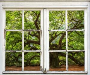 queence Wandsticker "Baum", Wandsticker, Wandbild, selbstklebend, 3D, Fenster