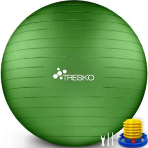 TRESKO Gymnastikball mit GRATIS Übungsposter inkl.
