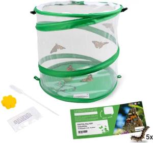 TimeTEX Experimentierkasten Schmetterlingszucht-Set, Starter (mit Gutschein