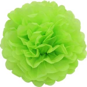 Creativery Pompon, 1 Papier Pompon 25cm