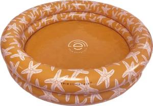 Swim Essentials Pool Swim Essentials Swimming