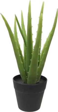 Kunstpflanze Aloe Vera Pflanze Kunstpflanze künstliche