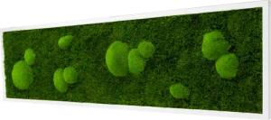 Moos-Design Bilderrahmen Moos Bild Forest Design