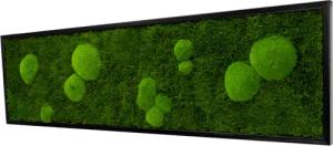 Moos-Design Bilderrahmen Moos Bild Forest Design
