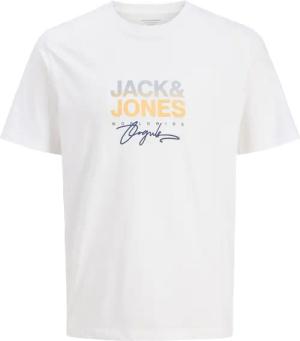 Jack & Jones Print-Shirt JORCANGGU TEE