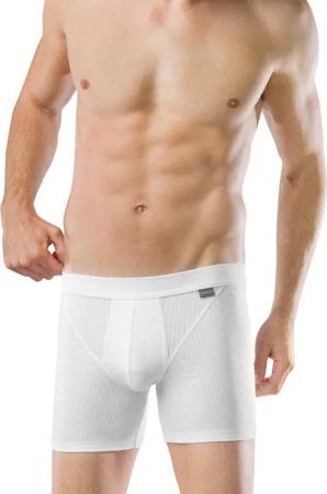 Schiesser Boxershorts Cotton Essentials Authentic (Packung,