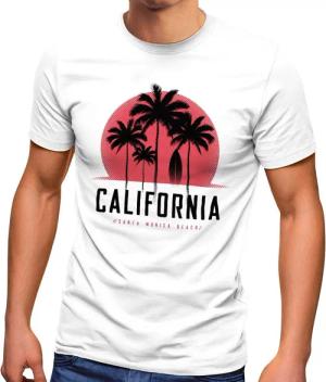 Neverless Print-Shirt Herren T-Shirt California Palmen