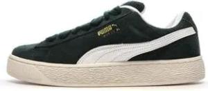 Puma  Sneaker 397241-02